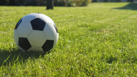 新疆队暂停，盖利利用掩护成功投中三分球